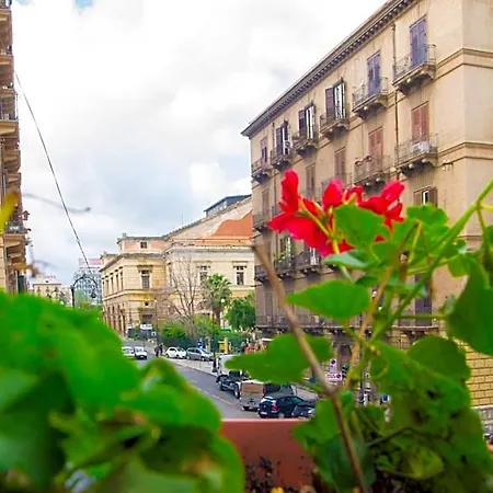 Amarillo 4* Palermo